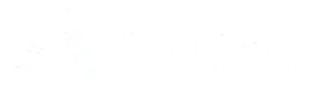 Adrenalex: Clean Energy. Rewired.
